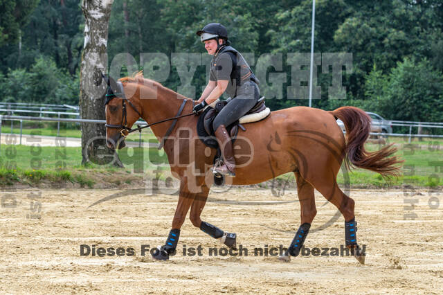Hunter Geländetraining 10.07.2021 (Sonsbeck)