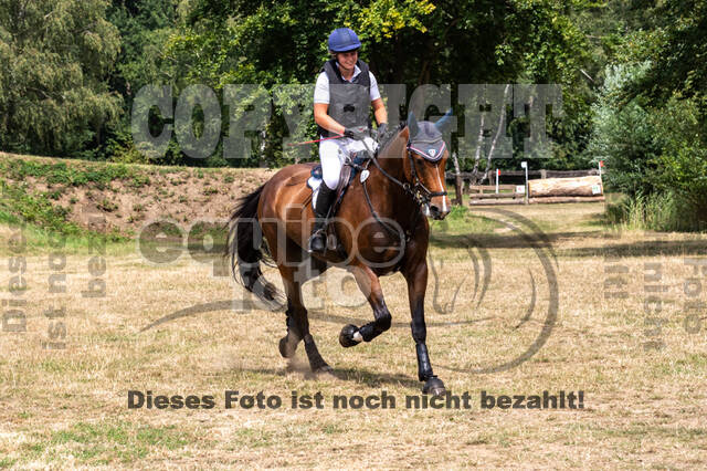Late-Entry Vielseitigkeit Hamminkeln/Wesel (01.+02.08.2020)