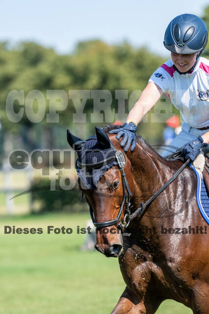 Kronenberg - De Peelbergen (August 2020)