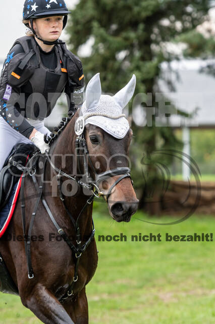 Goldene Schärpe 2020 - Pferde