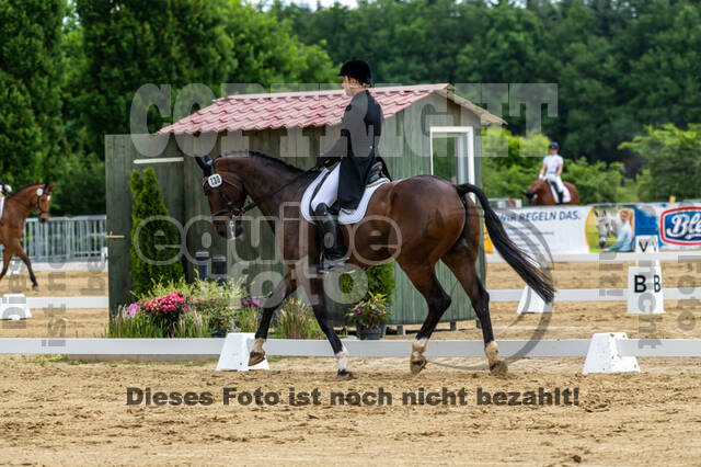 Westerstede Horse Trials 2021