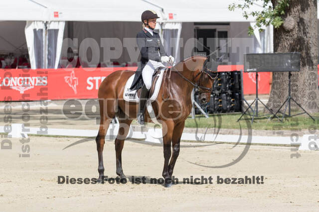 FEI European Championship Eventing 2017