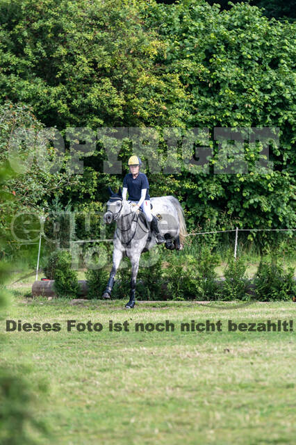 Goldene Schärpe 2021 - Ponys