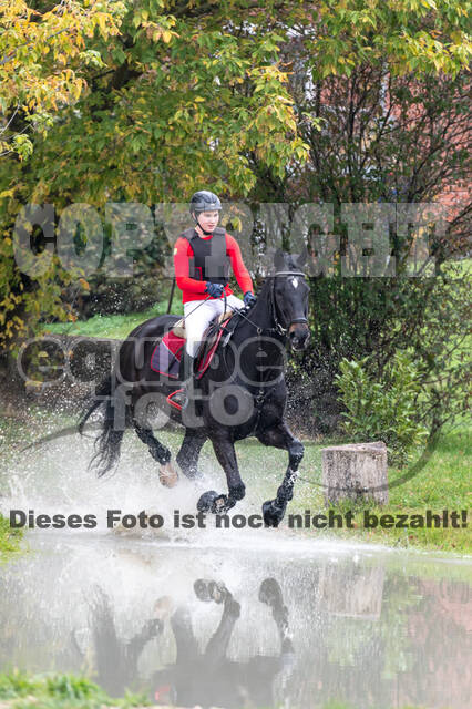 Goldene Schärpe 2020 - Pferde