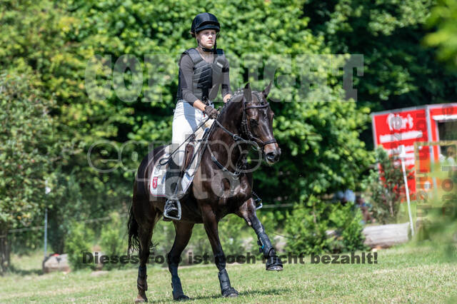 Goldene Schärpe 2021 - Ponys