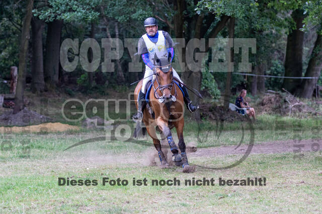 Late-Entry Vielseitigkeit Hamminkeln/Wesel (01.+02.08.2020)