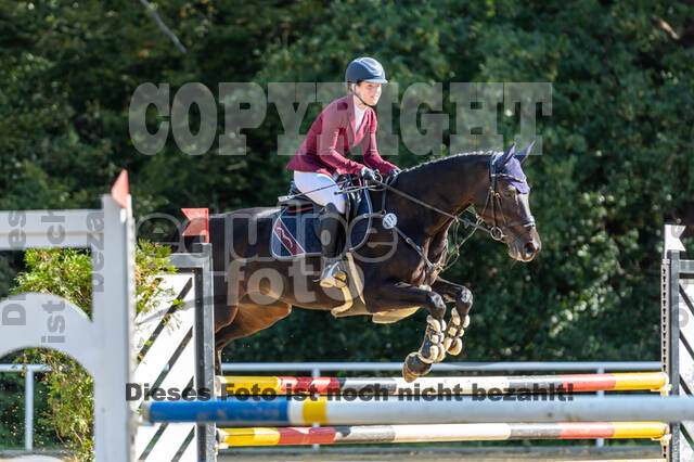 RFV Dinslaken-Hiesfeld (Herbstturnier)