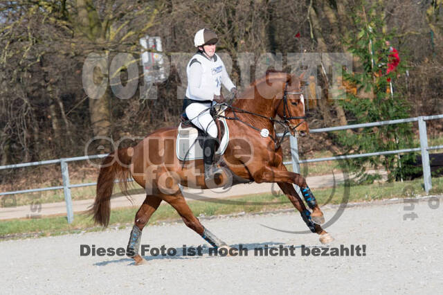 Eventing Langenfeld