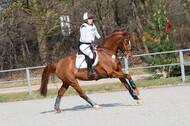 Eventing Langenfeld