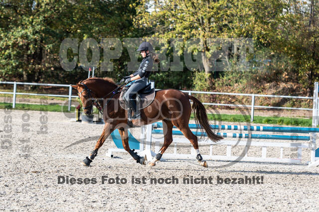 IGV Lehrgang der Sieger der Cups mit Frank Ostholt