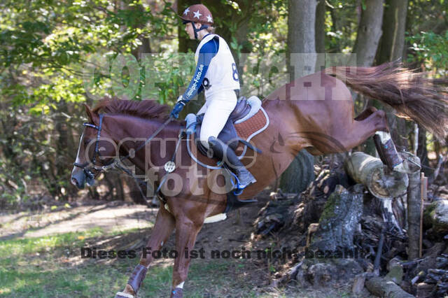 Vielseitigkeitsturnier RSV St. Hubertus Wesel Obrighoven