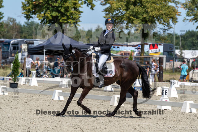 Kronenberg - De Peelbergen (August 2020)