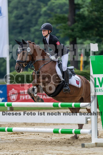 Goldene Schärpe 2021 - Ponys