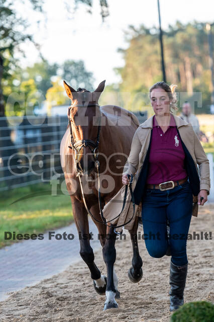 Deutsche Meisterschaft Vielseitigkeit (Luhmühlen)