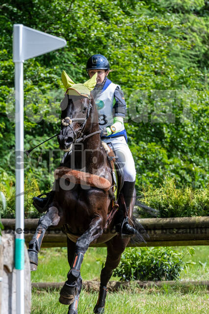 Westerstede Horse Trials 2021