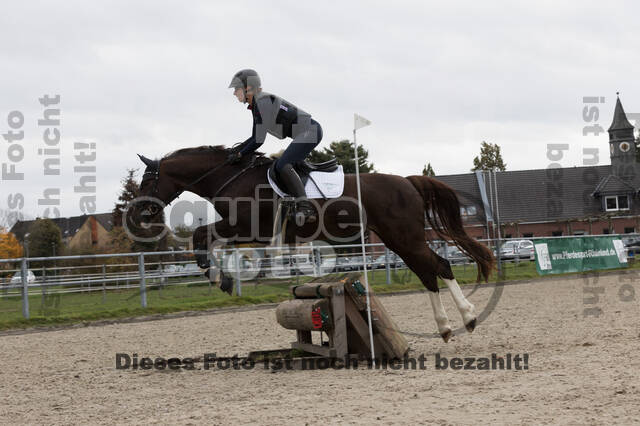 IGV Lehrgang der Sieger der Cups mit Frank Ostholt