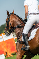 Kronenberg - De Peelbergen (August 2020)