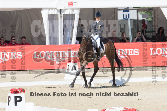 FEI European Championship Eventing 2017