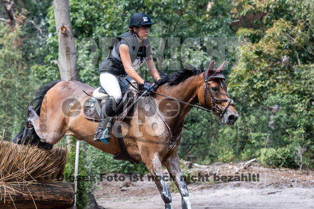 De Peelbergen (August 2020)