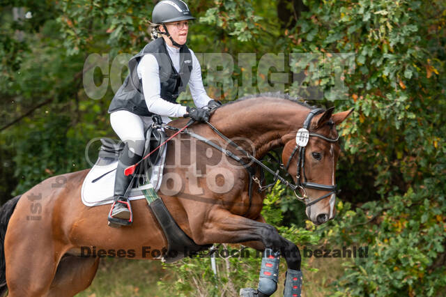 Goldene Schärpe 2020 - Pferde