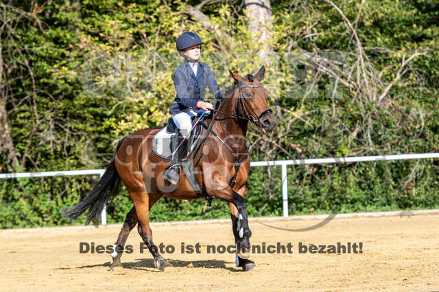 RFV Dinslaken-Hiesfeld (Herbstturnier)