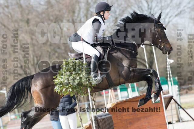 Eventing Langenfeld 2018