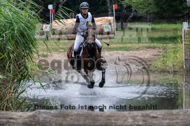 Late-Entry Vielseitigkeit Hamminkeln/Wesel (01.+02.08.2020)