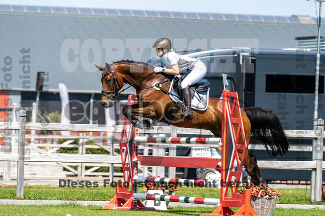 Kronenberg - De Peelbergen (August 2020)