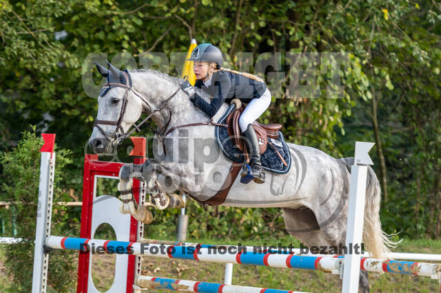 RFV Dinslaken-Hiesfeld (Herbstturnier)