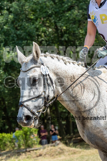 Late-Entry Vielseitigkeit Hamminkeln/Wesel (01.+02.08.2020)