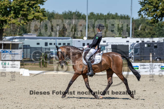 Kronenberg - De Peelbergen (August 2020)