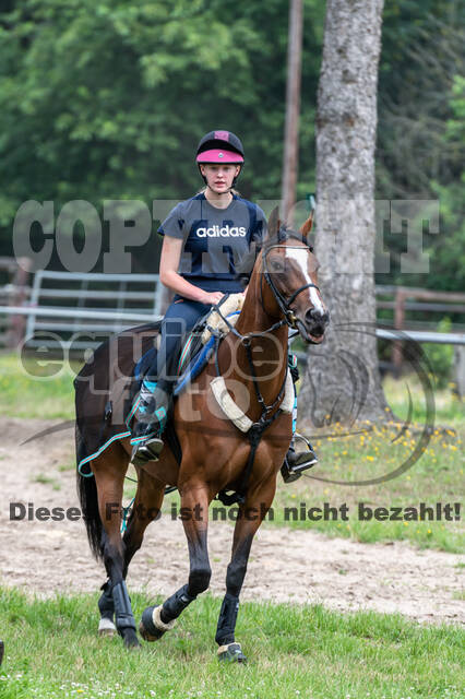 Hunter Geländetraining 10.07.2021 (Sonsbeck)