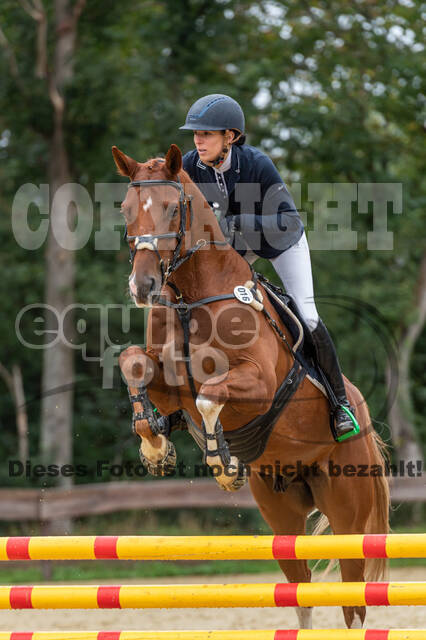 Vielseitigkeit RSV Wesel Obrighoven (26.+27.09.2020)