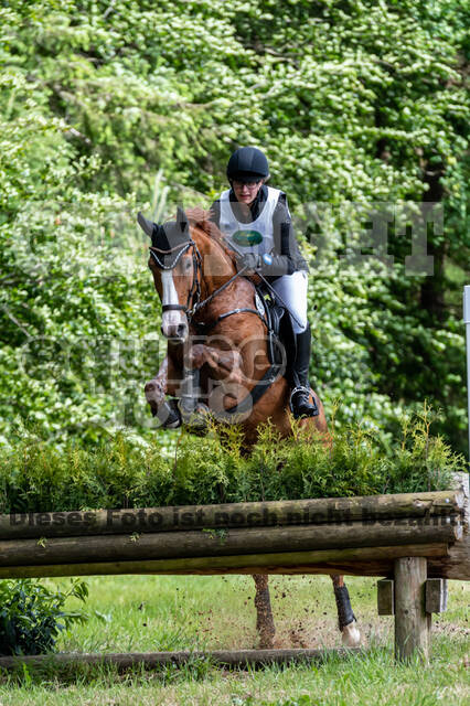 Westerstede Horse Trials 2021