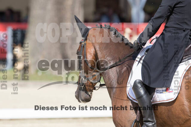 FEI European Championship Eventing 2017