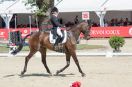 FEI European Championship Eventing 2017