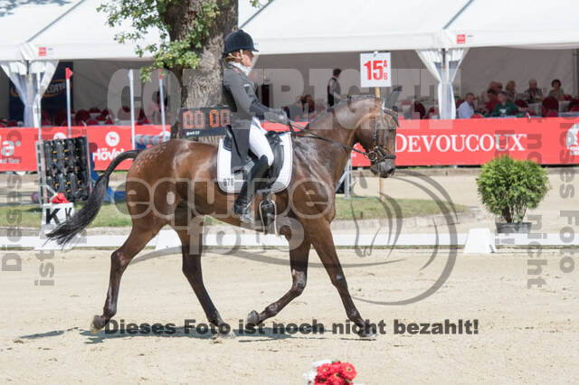 FEI European Championship Eventing 2017