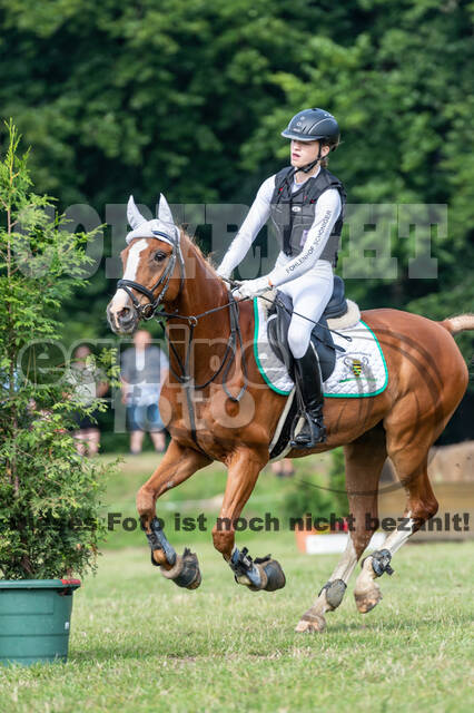 Goldene Schärpe 2021 - Ponys