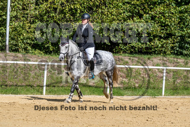 RFV Dinslaken-Hiesfeld (Herbstturnier)