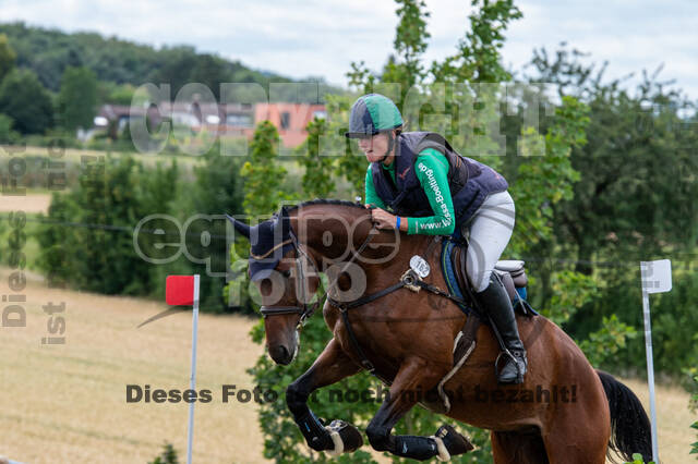Bonn-Rodderberg Late-Entry-Vielseitigkeit (30.06.2020)