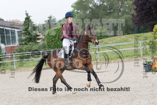 Eventing im Pferdesportzentrum Rheinland