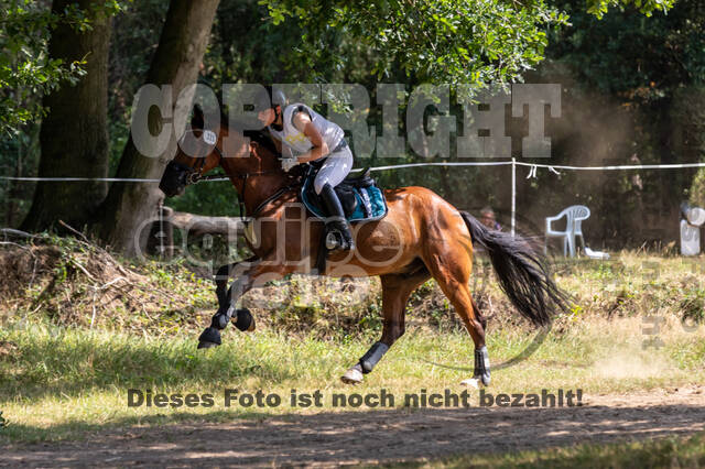 Late-Entry Vielseitigkeit Hamminkeln/Wesel (01.+02.08.2020)