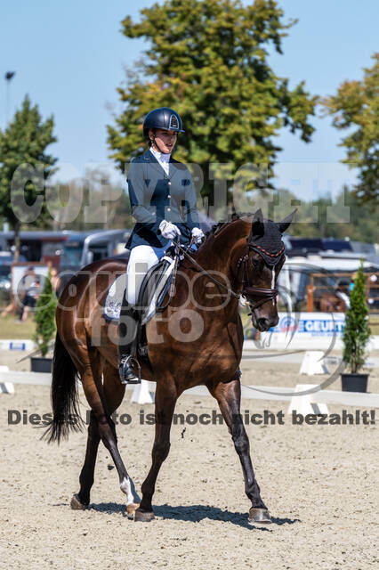 Kronenberg - De Peelbergen (August 2020)