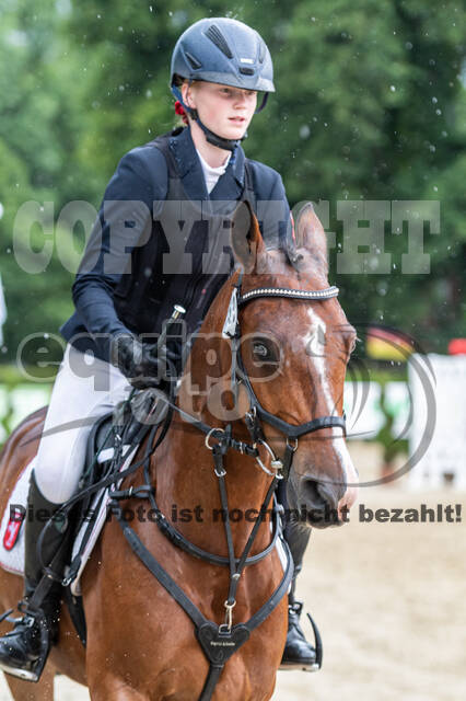 Goldene Schärpe 2021 - Ponys