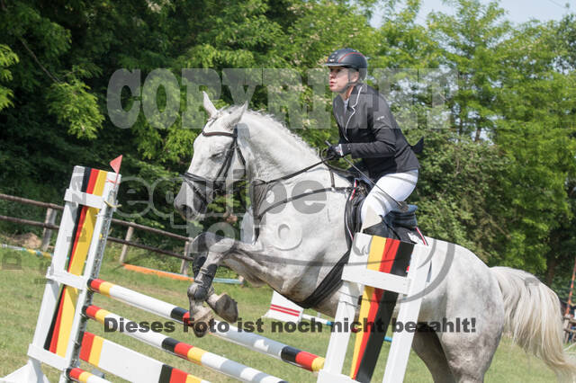 Vielseitigkeitsturnier ZRuFV von Lützow Hamminkeln