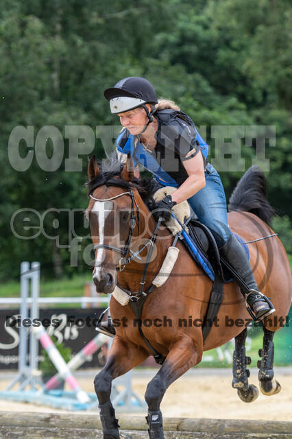 Hunter Geländetraining 10.07.2021 (Sonsbeck)