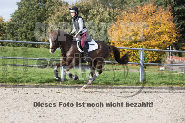 IGV Lehrgang der Sieger der Cups mit Frank Ostholt