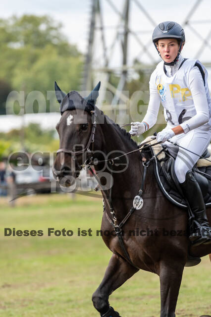 Vielseitigkeit RSV Wesel Obrighoven (26.+27.09.2020)