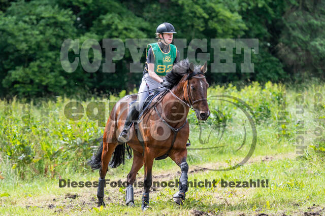 Westerstede Horse Trials (10.-13.06.2021)