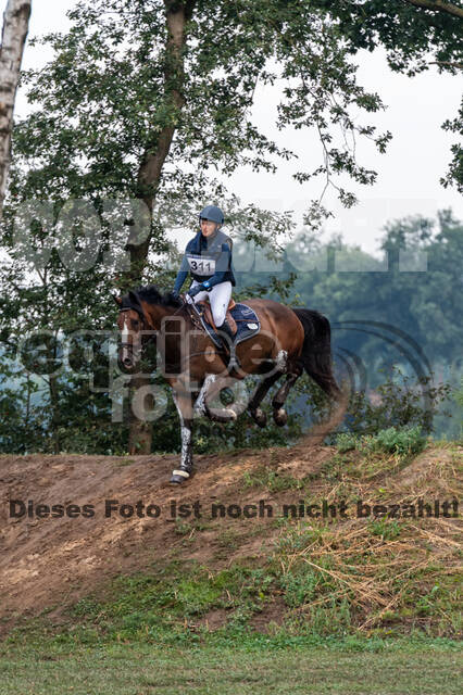 De Peelbergen (August 2020)